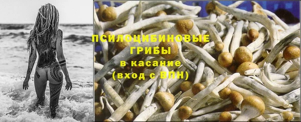 герыч Арсеньев